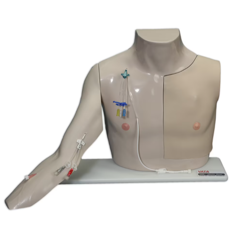 Chester Chest Advanced Arm Trainer