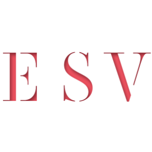 ESV Business Advice and Accounting